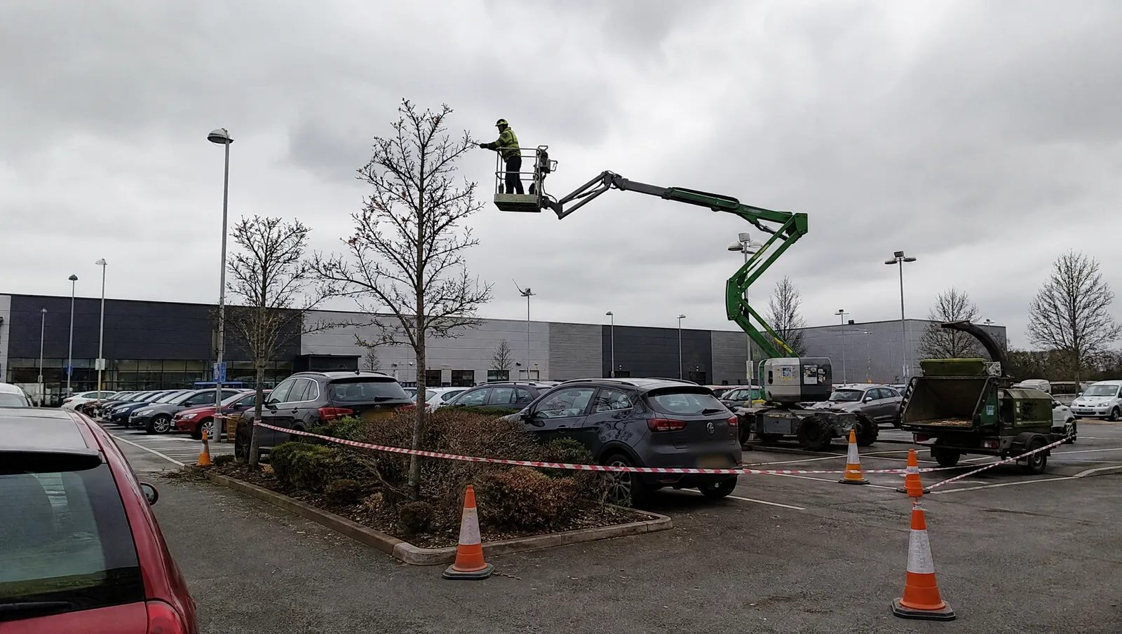 Crew pruning parking lot trees at a commercial property in Grand Rapids MI