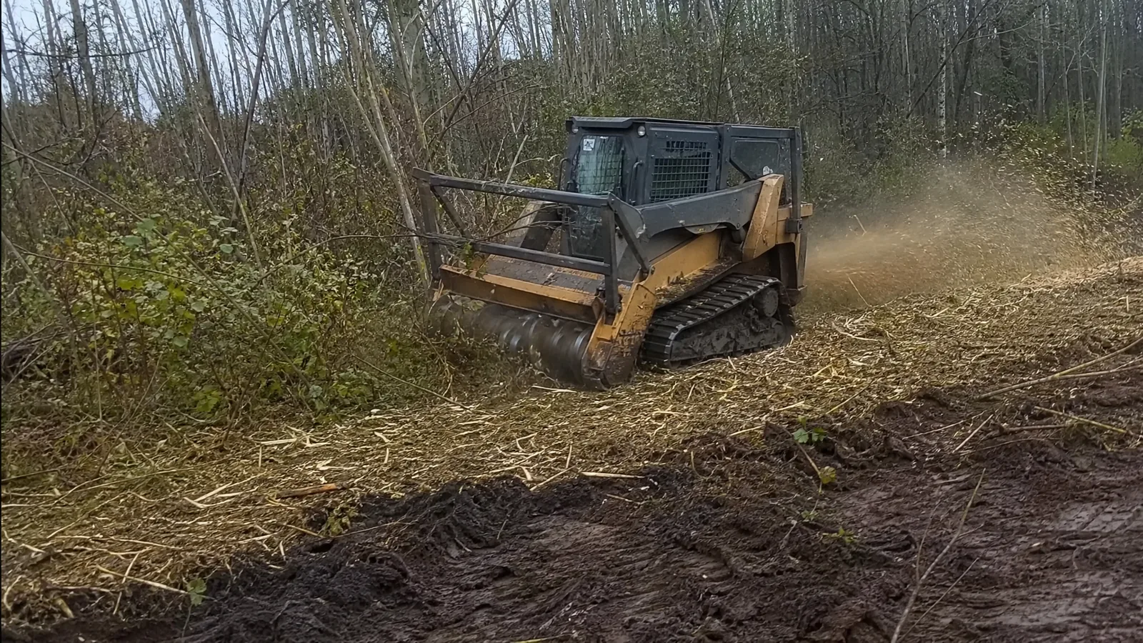 Forestry mulcher clearing brush and small trees on a wooded lot near Grand Rapids MI