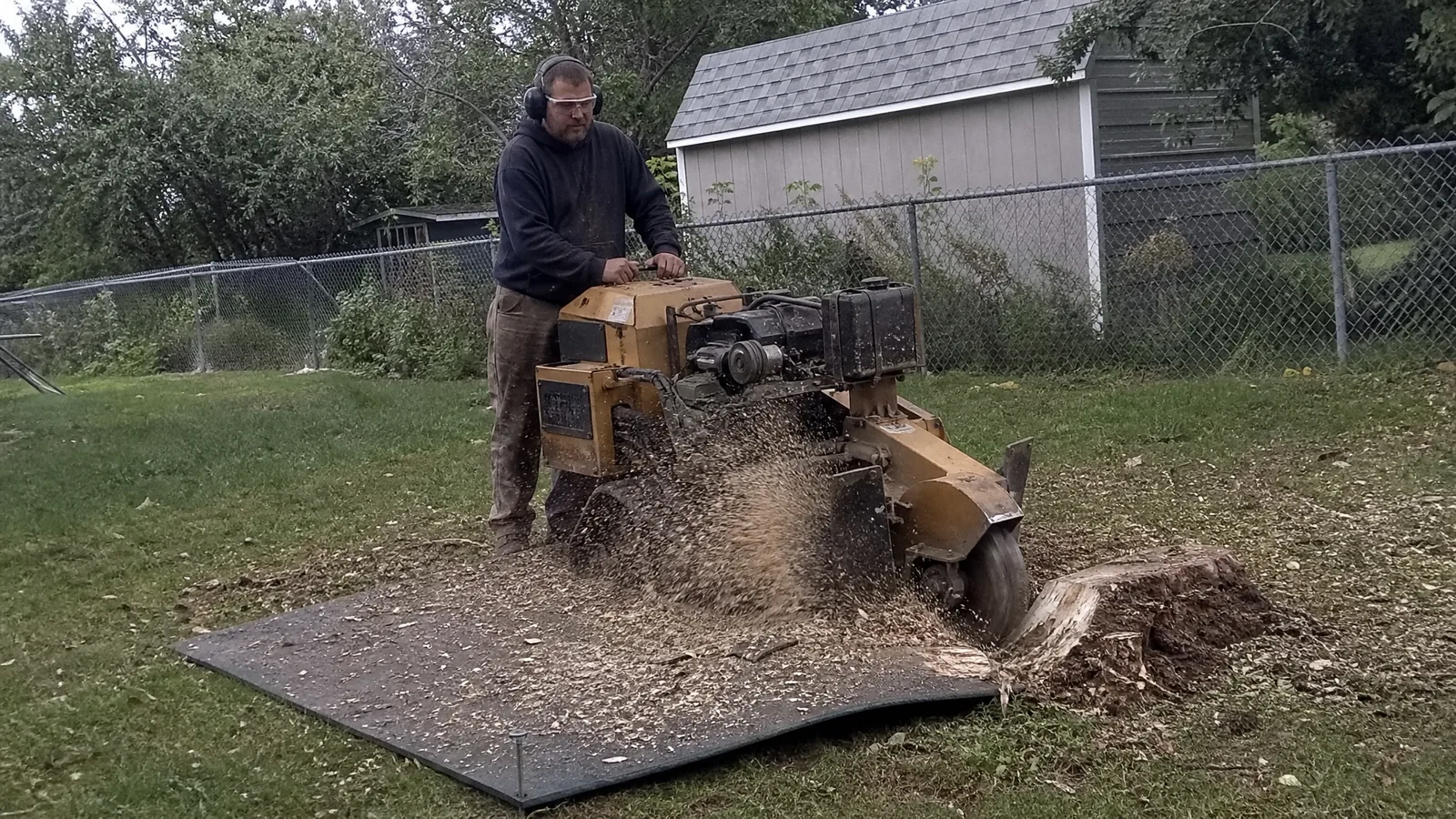 Stump grinder cutting a maple stump below grade in a Grand Rapids MI back yard