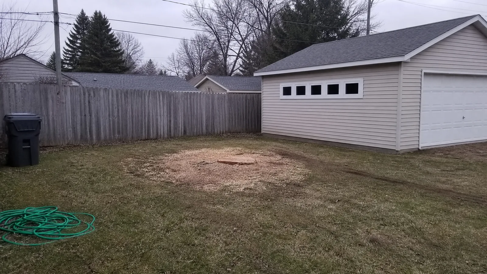 Cleared site after sectional silver maple removal in Grand Rapids MI