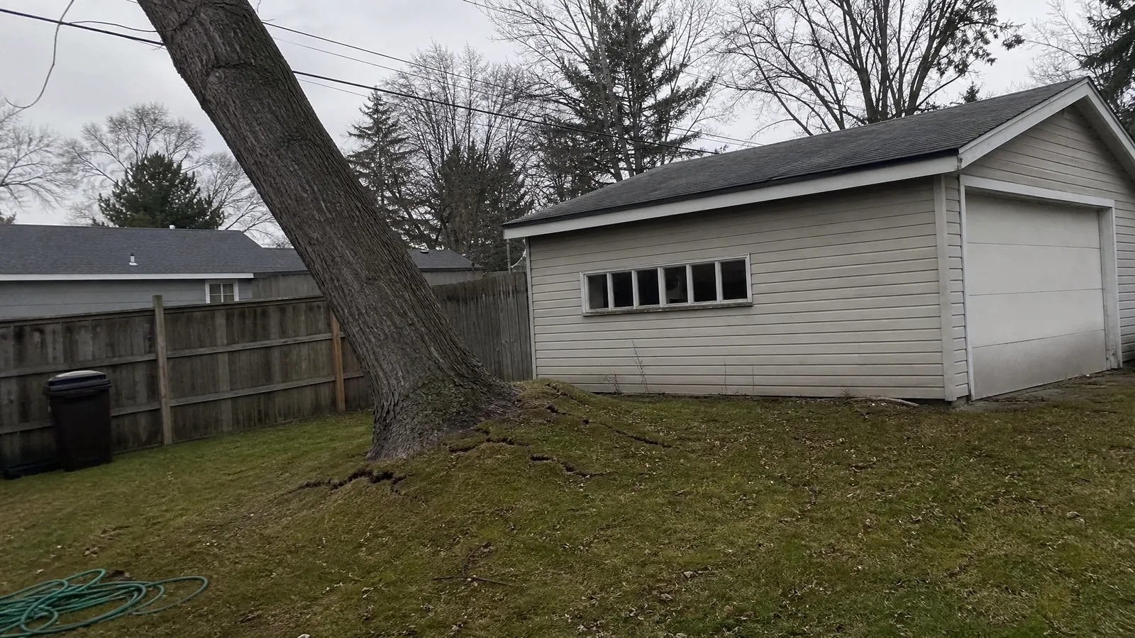 Leaning silver maple with a lifted root plate beside a garage in Grand Rapids MI