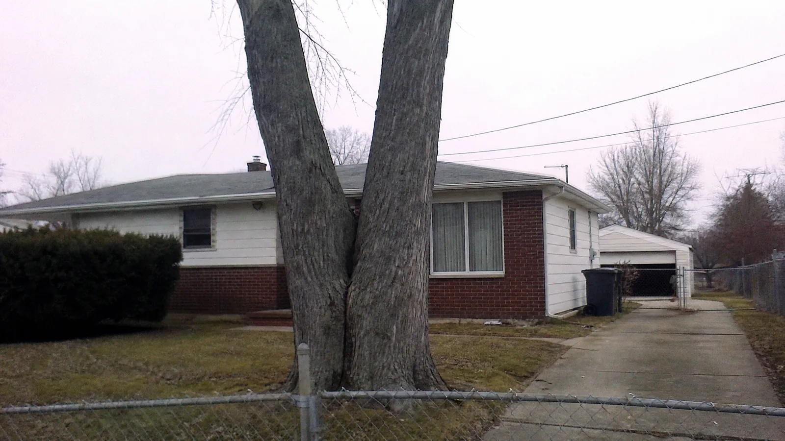 Crew trimming a mature silver maple on a residential street in Wyoming MI